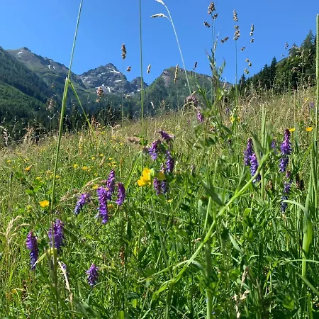 Am Hauser Kaibling *