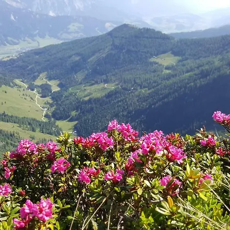 Am Hauser Kaibling Apartman