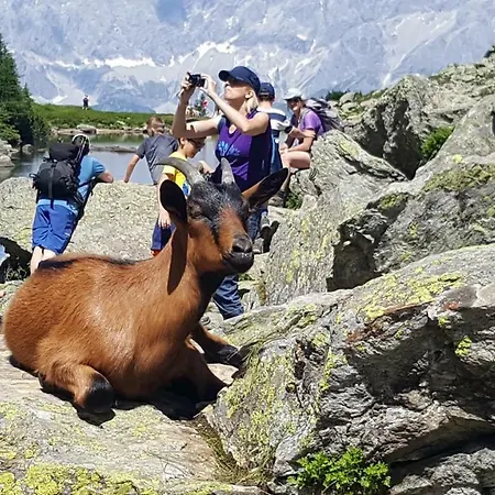 Am Hauser Kaibling *