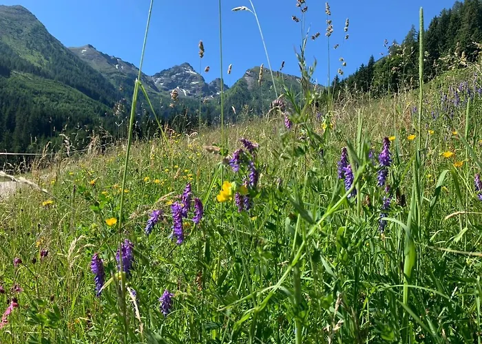 Am Hauser Kaibling *