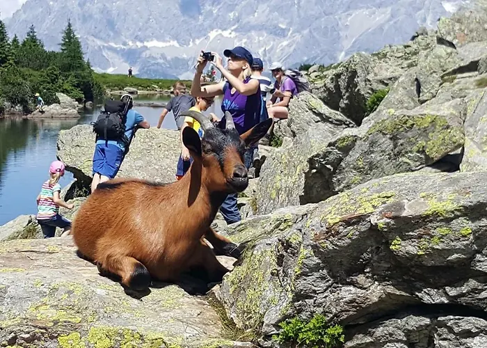 Am Hauser Kaibling *